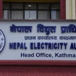 nea-vat-adjustment-electricity-bill-bhadau-confusion