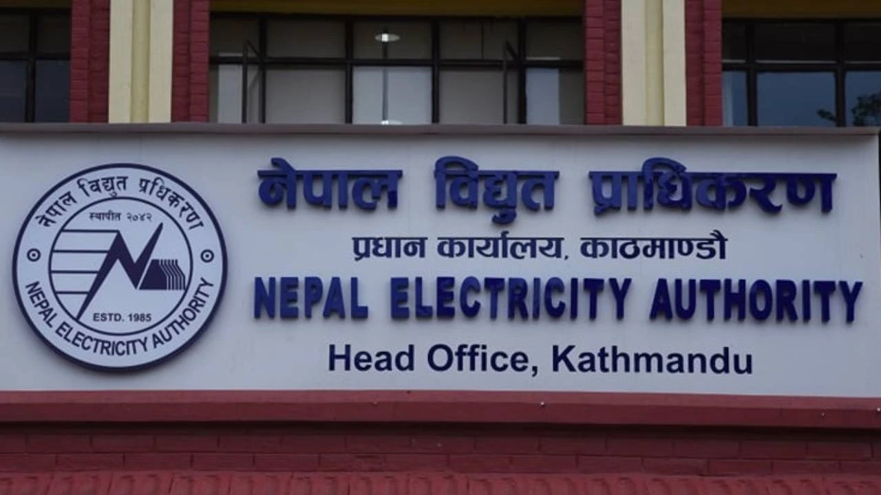 nea-vat-adjustment-electricity-bill-bhadau-confusion