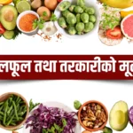 todays-vegetable-fruit-prices-kalimati-market