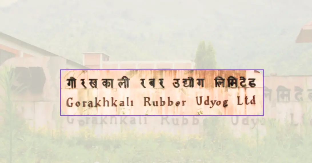 Gorkhakhali Rubber Industry in Gorkha, Nepal